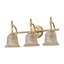 3-Lamp Gold Adjustable Glass Vanity Light