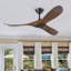 Ventilateur de plafond avec ensemble d'éclairage Omaima-1347555380