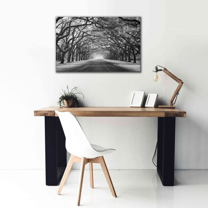 'Wormsloe Inf Light' by Mike Jones, Giclee Canvas Wall Art, 26" H x 40" W x 1.5" D