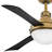 Burghard 50'' Ceiling Fan with LED Lights-945142076