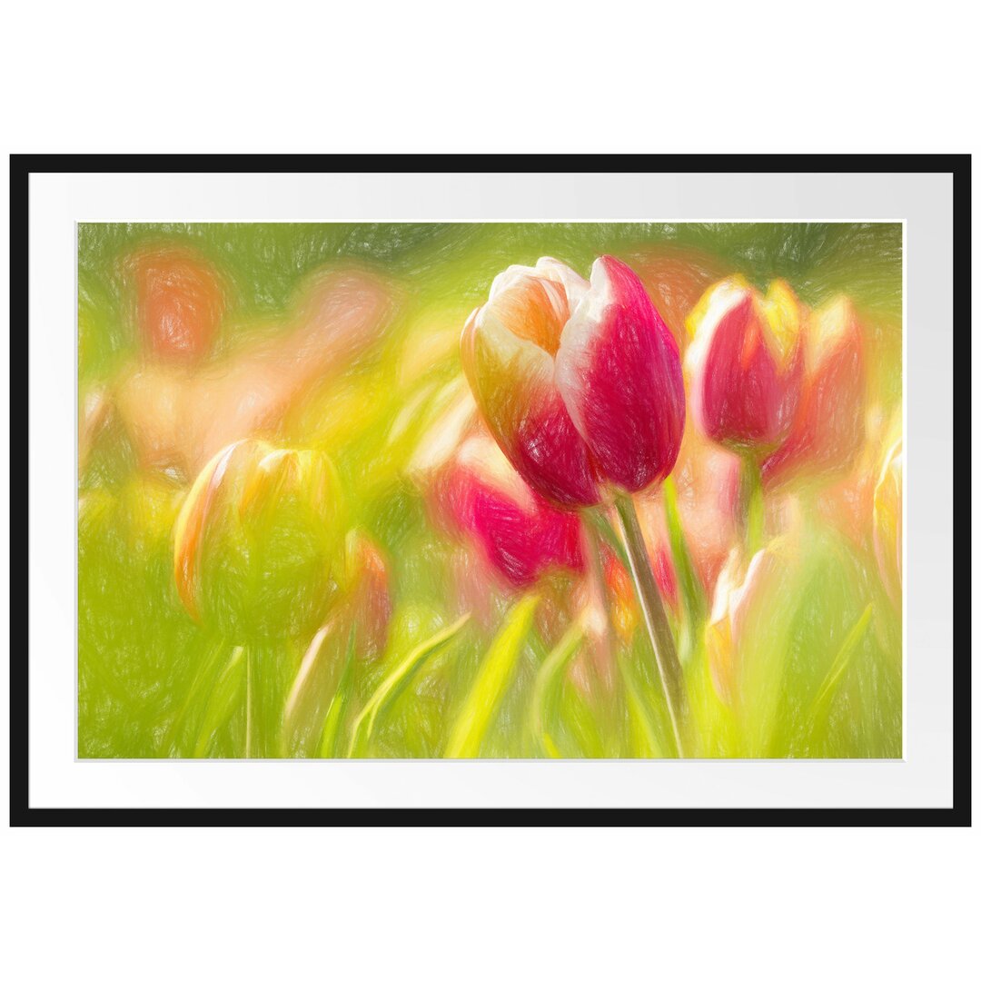 Gerahmtes Poster Blühende Tulpen