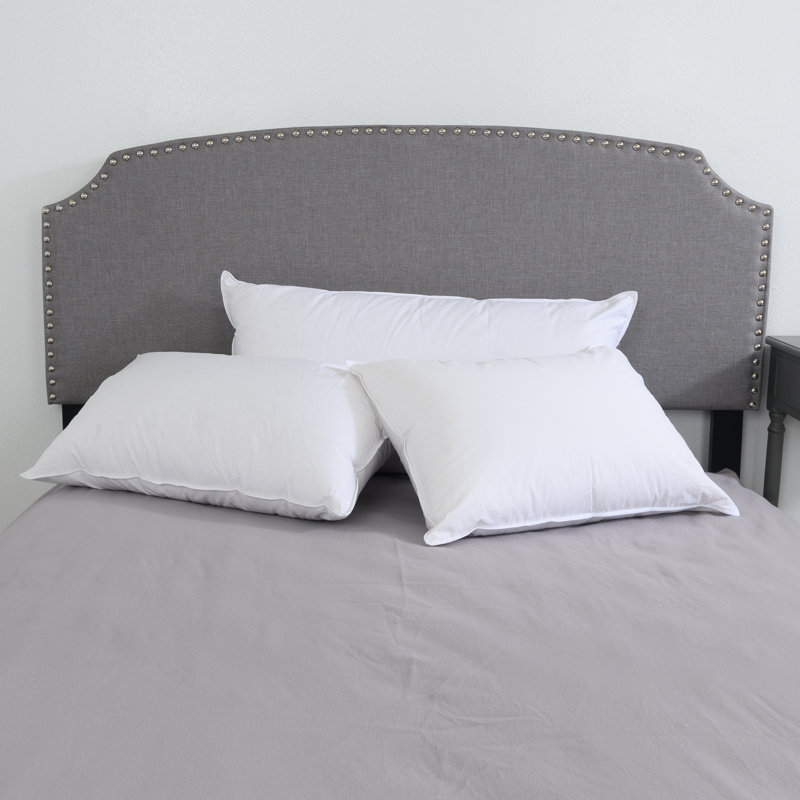 Oreiller doux en duvet Steverson, Très grand