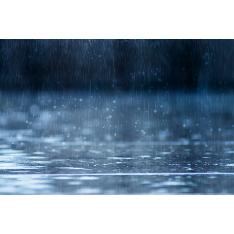 Rain Rain - Photographie sur toile tendue, H 8 po x l 12 po