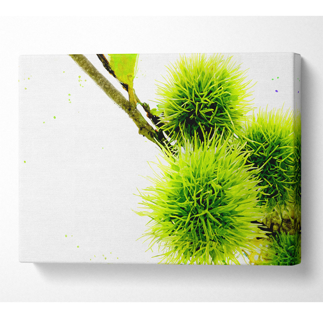 Grüne Pom Poms - Kunstdrucke auf Leinwand - Wrapped Canvas