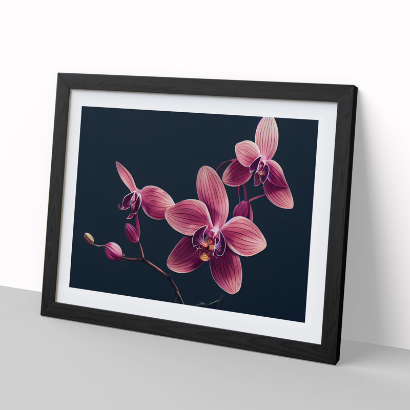 Revolutionary Orchid Flowers - Single Picture Frame Print, Black Framed, 46cm H x 64cm W x 2cm D