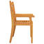 Chaise de salle à manger d'extérieur avec accoudoirs en bois d'acacia massif