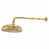 Unlacquered Polished Brass