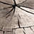Abstract Indoor Rug-235019309