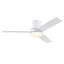 Ventilateur de plafond 48 po avec lumière Lowe-509271609-510509335
