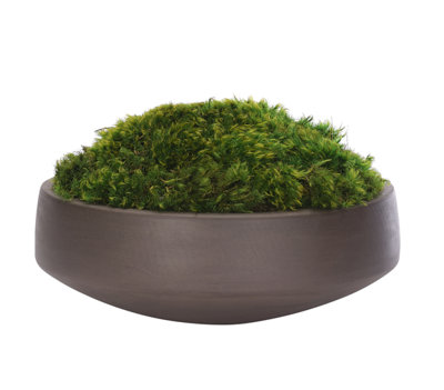 Moss Mound, Concrete Bowl, 12wx12dx7h
