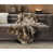Brown Leopard is out of stock selected