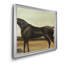 Trentham, a Bay Colt - cadre photo, reproduction d'art sur toile-299095135-299095132