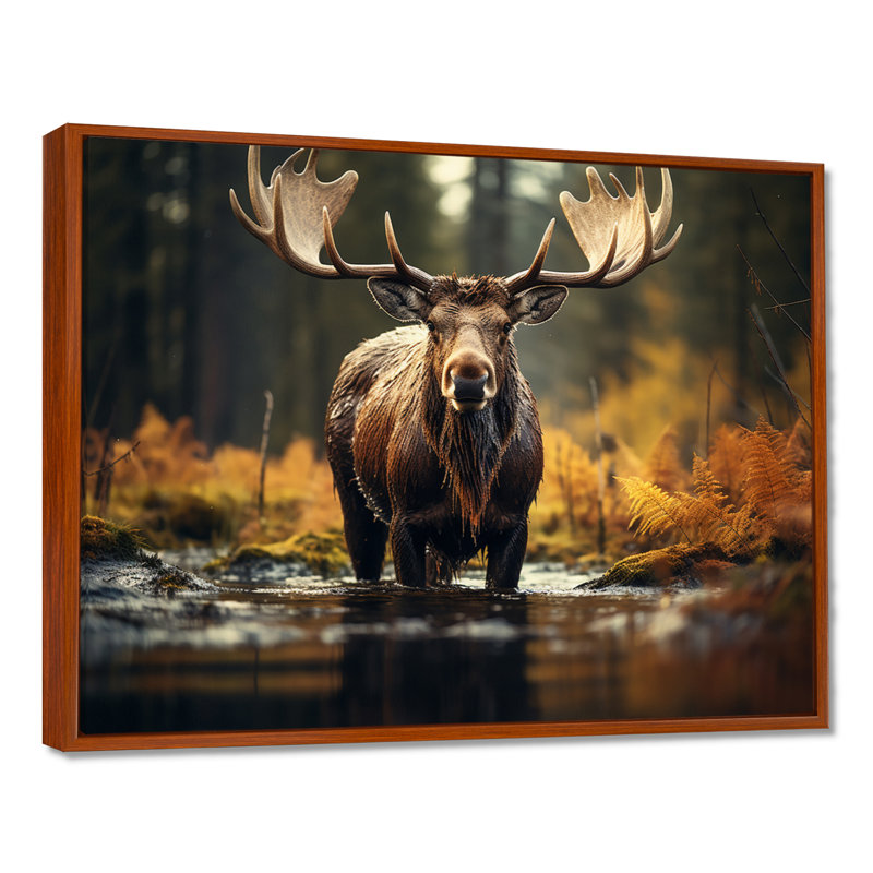 «Canada Majestic Moose III», art mural Canada large, H 12 po x l 20 po x P 1 po, Cadre flottant brun