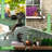 Glender Entertainment Statue