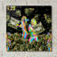 «Pillow Fight» par Bob Weer-1046475023