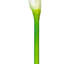 Cauldwell 26" Artificial Calla Lily Stem-744252437-715093889