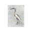 Gray Heron I Painting by Nash Rambler-26931049-26931050