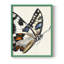 ANIMALS Series CECLI - Impression encadrée de qualité supérieure - Prêt à être accroché - Aucun clou requis-1283901925-1283901926