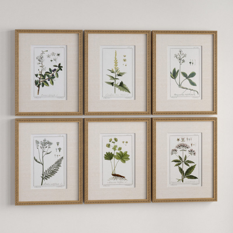 Floral Botanical Study - 6 Piece Single Picture Frame Print