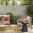 Cooper Indoor/Outdoor Area Rug-637431919