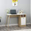 Rachal Computer Desk-463263751
