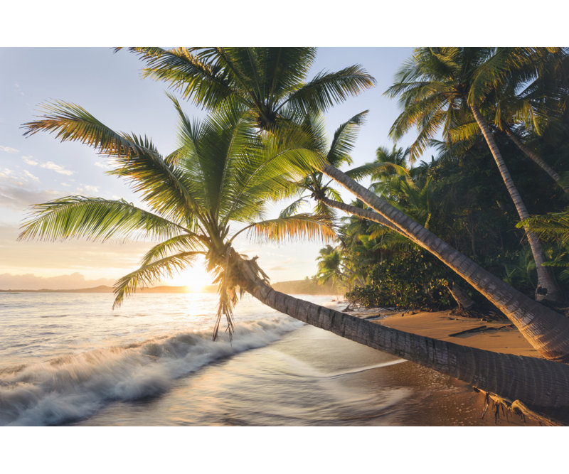 Wrapped Canvas Print, 50.8 cm H x 76.2 cm W