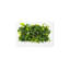 Metal Planter-319983642-393750022