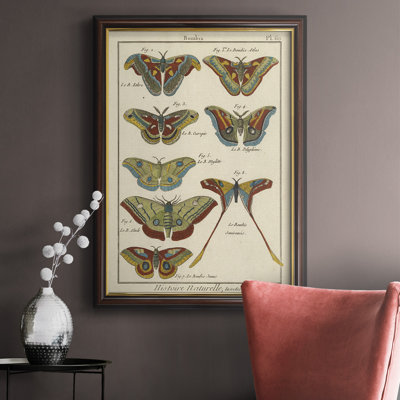 " Histoire Naturelle Butterflies III "
