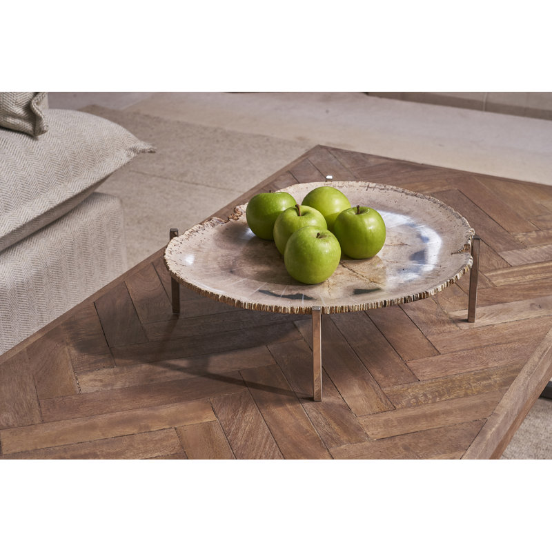 Petrified Wood Platter