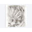 « frise study iv », reproduction d’impression sur toile-32860676