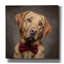  «Labrador Retrieve Photoshoot» par Rich Monet, art mural sur toile, 18 po x 18 po