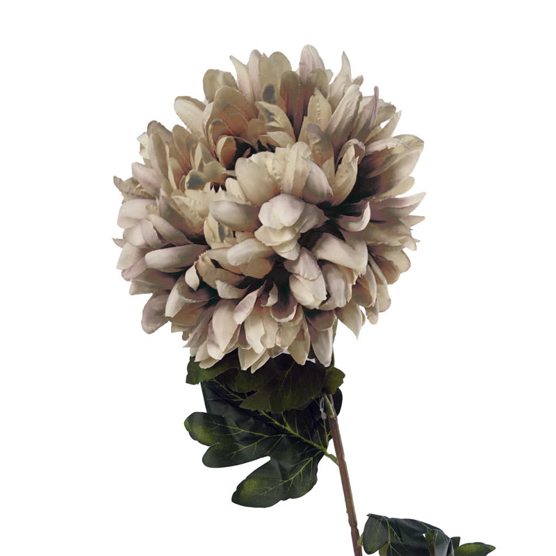 Annegrete Arrangement