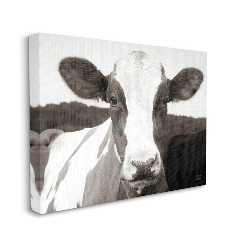 «Stupell Industries», portrait de vache, paysage de ferme, art mural sur toile par Nathan Larson
