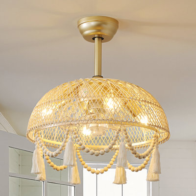 Falysha 20'' Boho Caged Ceiling Fan with Light Kit and Remote Control