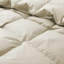 Couette toutes saisons en plumes et duvet d'oie, garnie d'une housse 100 % coton de qualité supérieure.-135548428-135548430