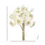 Bouquet de renoncules de jardin 11 po-1983976998