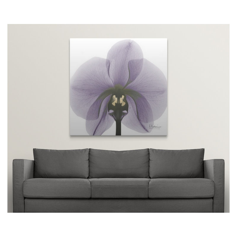 'Orchid X-Ray by Albert Koetsier Photographic Print, 20" H x 20" W x 1.5" D, Canvas