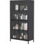 Armoire de rangement en métal avec portes en verre trempé, stable, pour la chambre à coucher, finition antique, tablettes spacieuses, salles à manger stables