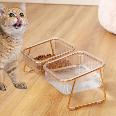 Elevated Tilted Double Cat Bowls