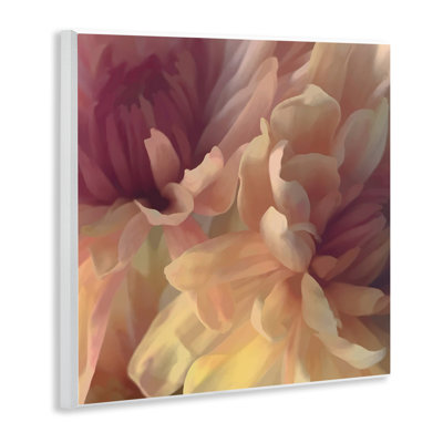«Curling Dahlia Petals» par David Pollard