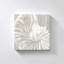 "Seashell Close Up I" par Carol Robinson, reproduction sur toile-1643299153