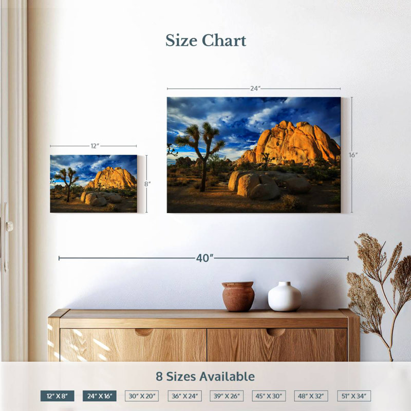 Nicci Joshua Tree Park Old Woman Rock, H 16 po x l 24 po