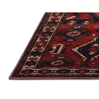 Machine Washable Persian Brown Area Rug