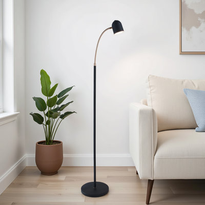 Girardi 51'' LED Task Floor Lamp