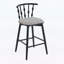 Ensemble de 2 chaises d'appoint d'intérieur combinant élégance traditionnelle et confort moderne-310092169