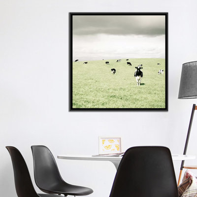 « curieux vaches », reproduction de photo sur toile