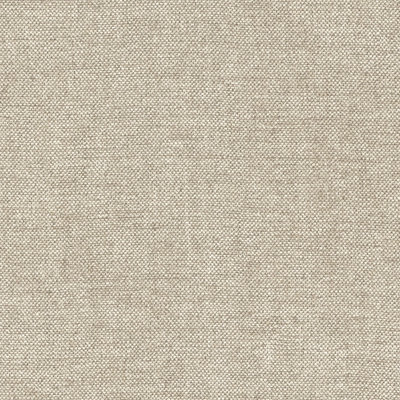 Auden Chenille Fabric