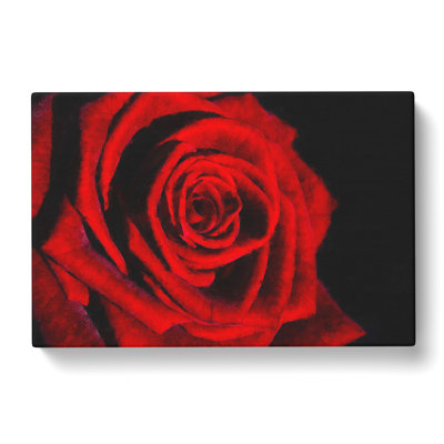 Red Rose Flower Vol.6 - Wrapped Canvas Print