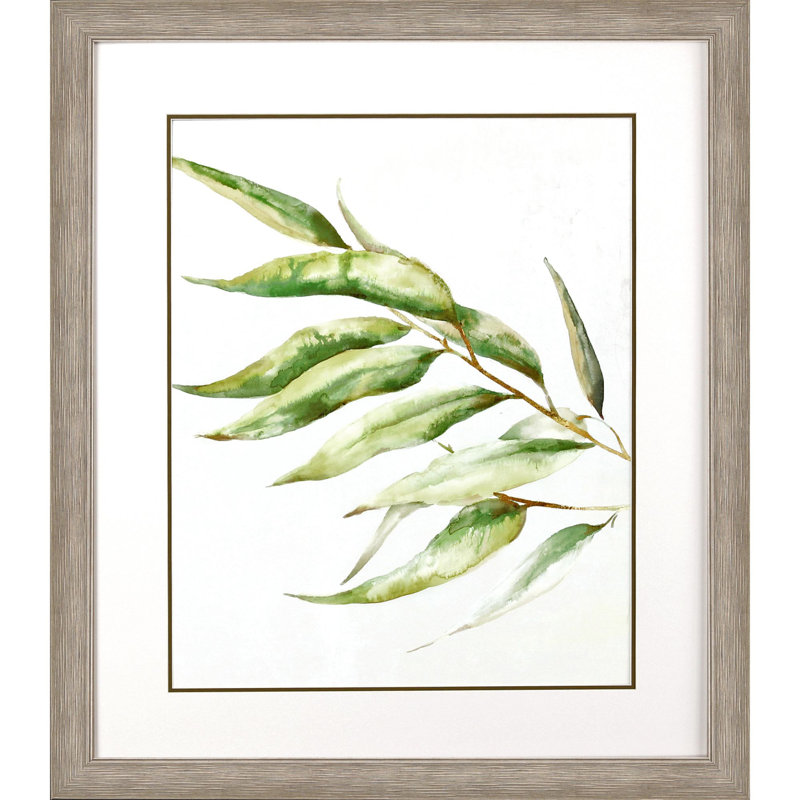 Willow Branch II