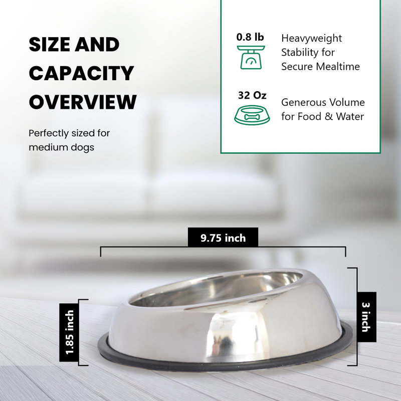 Bol simple pour animaux Easy Back, 32 oz / 4 tasses